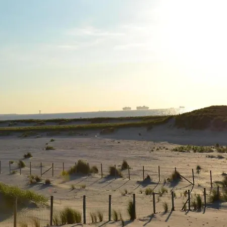 In Netherlands With Accessible Design 's-Gravenzande