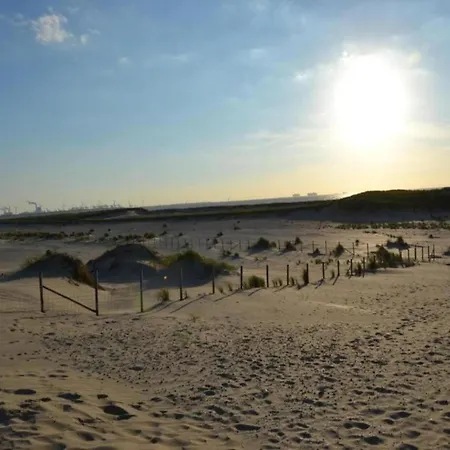 In Netherlands With Accessible Design * 's-Gravenzande