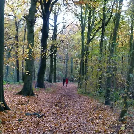 In Netherlands With Accessible Design Holiday home 's-Gravenzande
